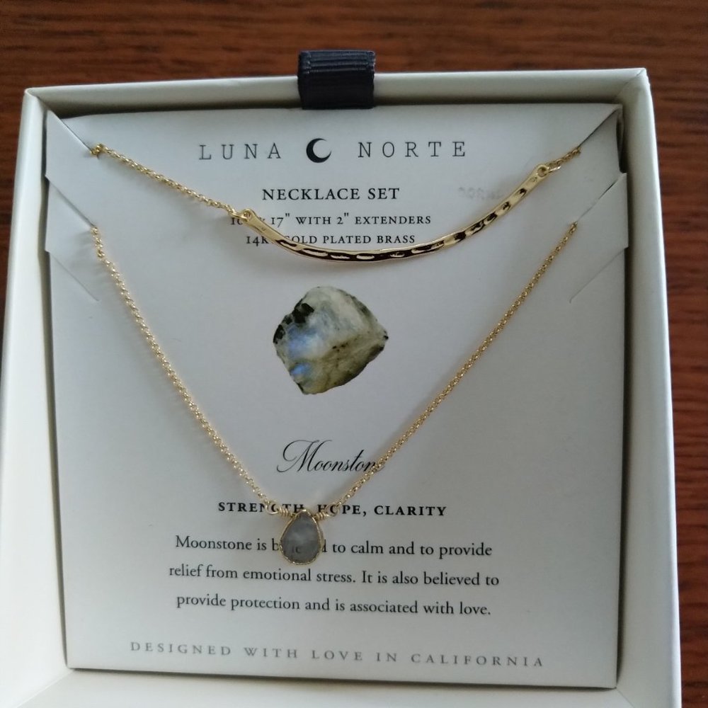 NWT Necklace Set and Earrings